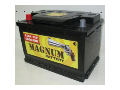 Аккумулятор 6ст - 75 (Magnum) - пп